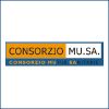 Gruppo Samed